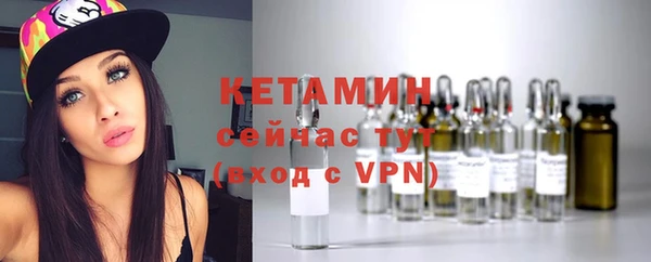 мдпв Туринск
