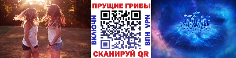 Галлюциногенные грибы Psilocybe  Тула 